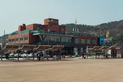 DMZ Tagestour Guide: Seoul Tagestour Vergleich erleben