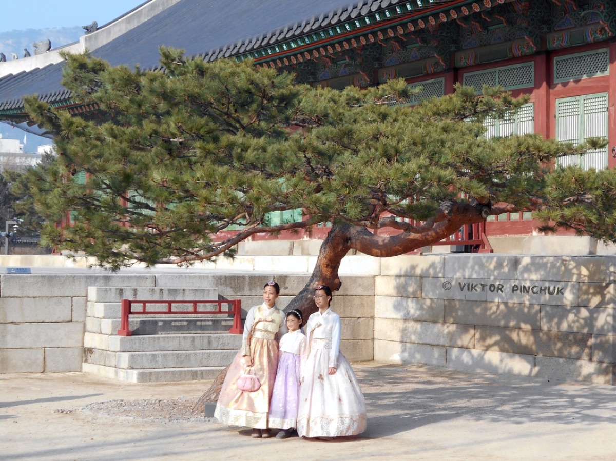 경복궁 한복 셔터