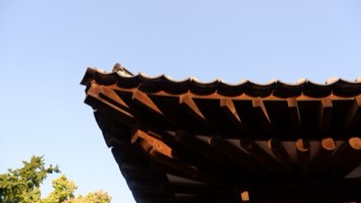 Ontdek Seongsu-dong: Jouw gids voor moderne Seoul vibes