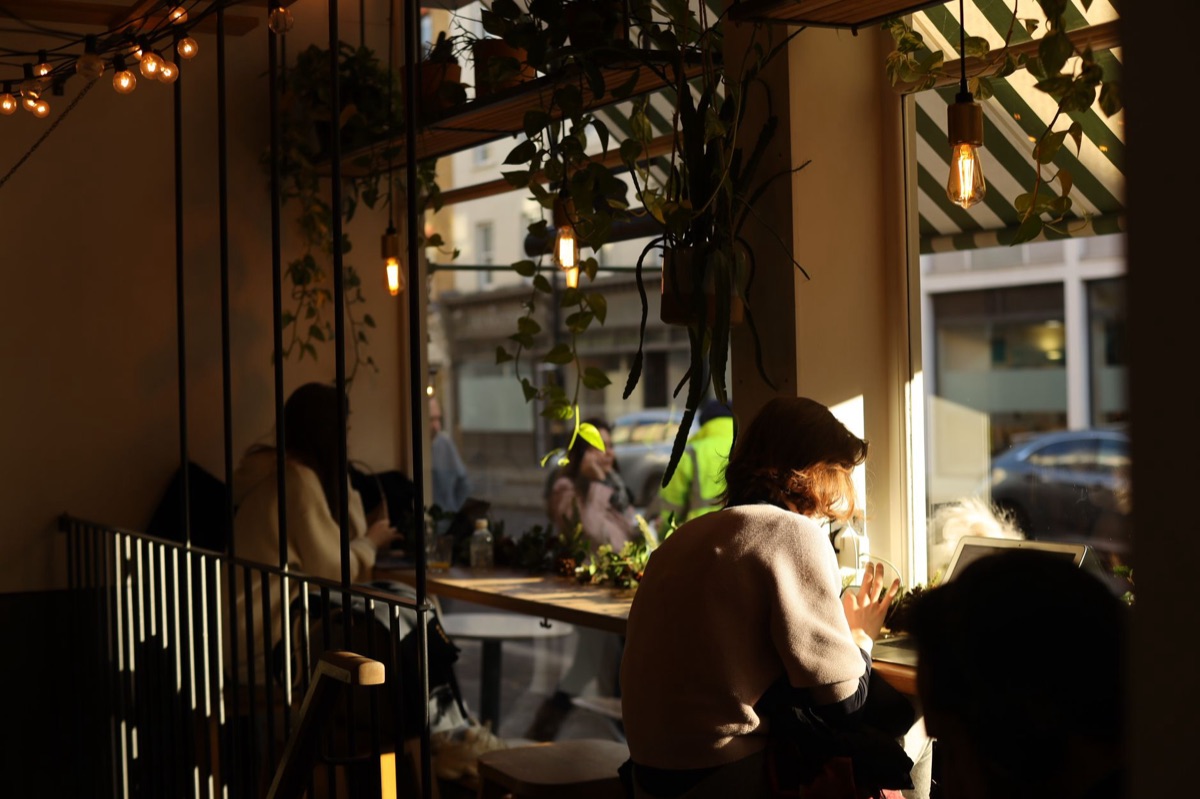 Cafe window with hanging plants