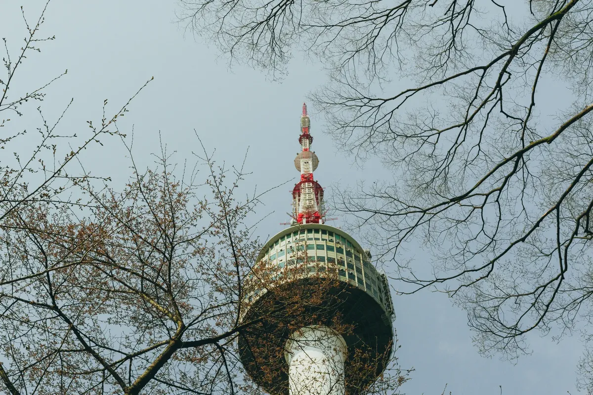 View of Namsan Seoul Tower framed by cherry blossom branches, capturing the essence of spring in Seoul.